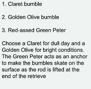 1. Claret bumble 2. Golden Olive bumble 3. Red-assed Green Peter Choose a Claret for dull day and a Golden Olive for ...
