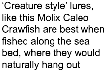 ‘Creature style’ lures, like this Molix Caleo Crawfish are best when fished along the sea bed, where they would natur...