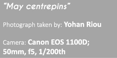 “May centrepins” Photograph taken by: Yohan Riou Camera: Canon EOS 1100D; 50mm, f5, 1/200th 