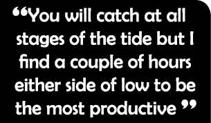 “You will catch at all stages of the tide but I find a couple of hours either side of low to be the most productive ”