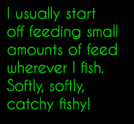I usually start off feeding small amounts of feed wherever I fish. Softly, softly, catchy fishy!