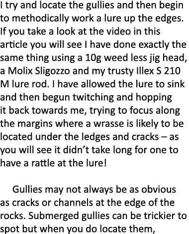 I try and locate the gullies and then begin to methodically work a lure up the edges. If you take a look at the video...