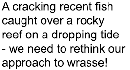 A cracking recent fish caught over a rocky reef on a dropping tide - we need to rethink our approach to wrasse!