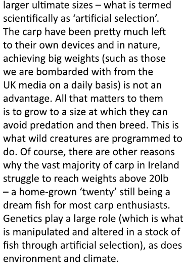 larger ultimate sizes – what is termed scientifically as ‘artificial selection’. The carp have been pretty much left ...