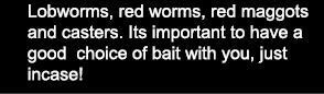 Lobworms, red worms, red maggots        and casters. Its important to have a  good choice of bait with you, just  in...