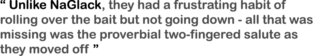 “ Unlike NaGlack, they had a frustrating habit of rolling over the bait but not going down - all that was missing was...