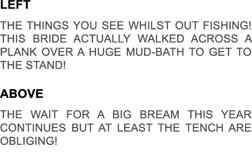 Left The things you see whilst out fishing! This bride actually walked across a plank over a huge mud-bath to get to ...