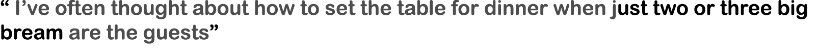 “ I’ve often thought about how to set the table for dinner when just two or three big bream are the guests”