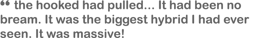 “ the hooked had pulled... It had been no bream. It was the biggest hybrid I had ever seen. It was massive!