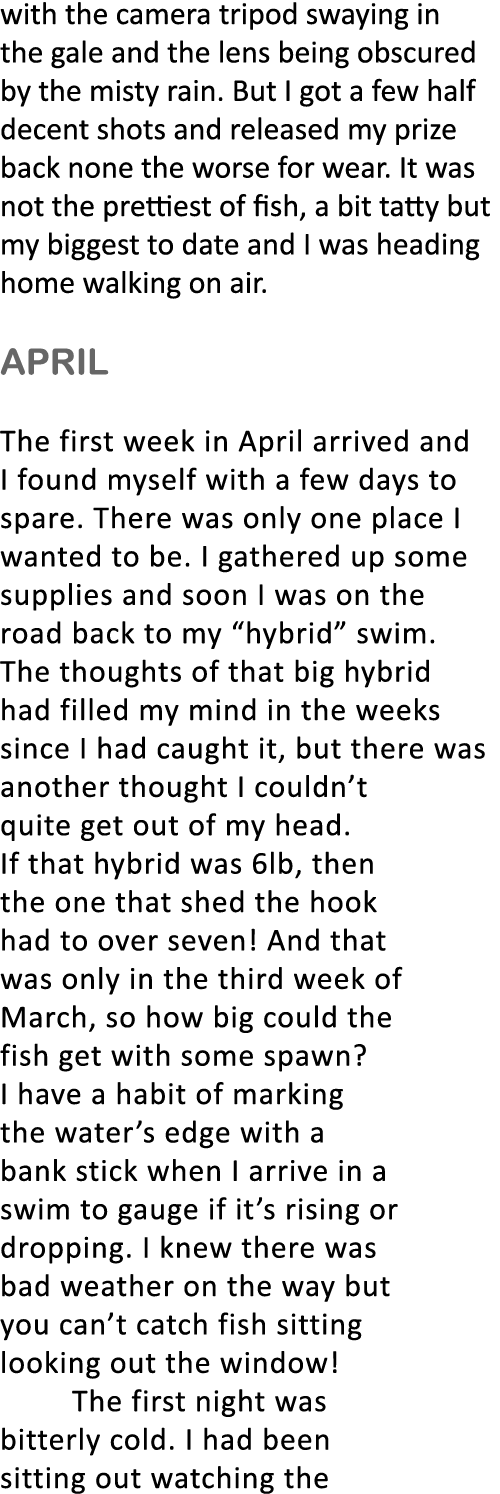 with the camera tripod swaying in the gale and the lens being obscured by the misty rain. But I got a few half decent...