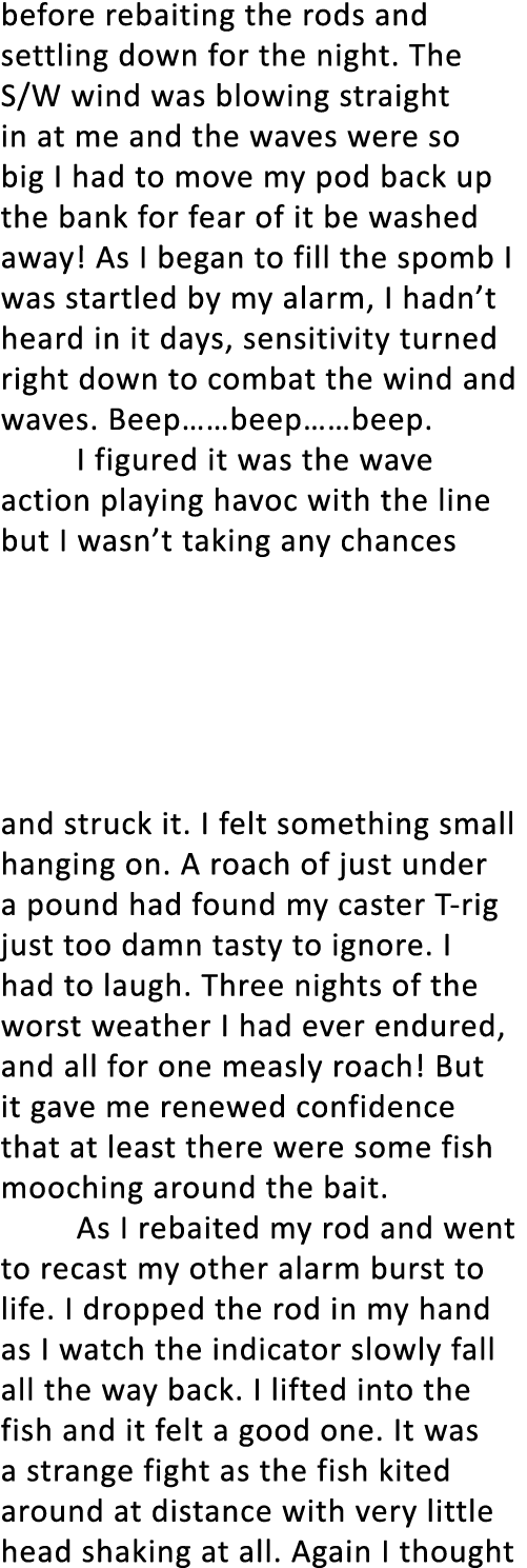 before rebaiting the rods and settling down for the night. The S/W wind was blowing straight in at me and the waves w...