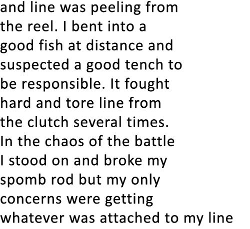 and line was peeling from the reel. I bent into a good fish at distance and suspected a good tench to be responsible....