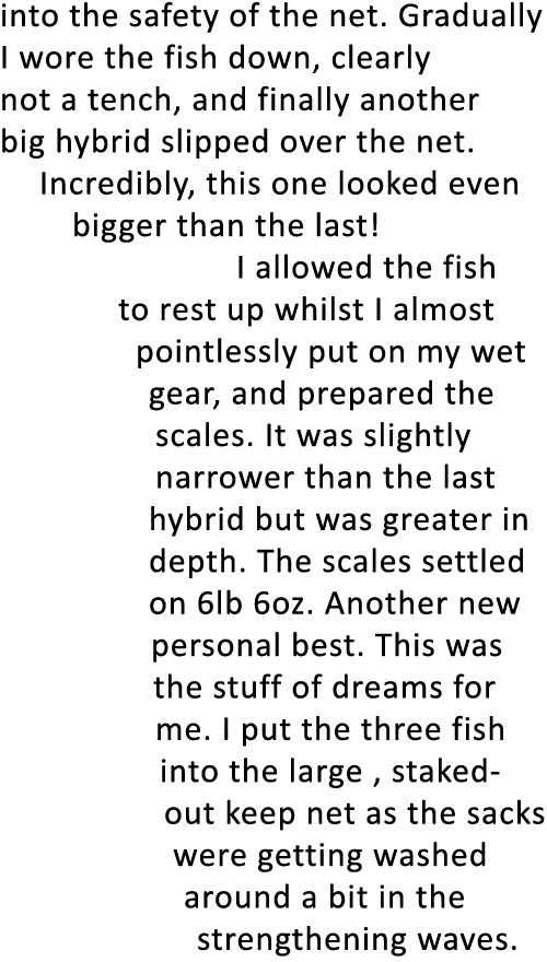 into the safety of the net. Gradually I wore the fish down, clearly not a tench, and finally another big hybrid slipp...