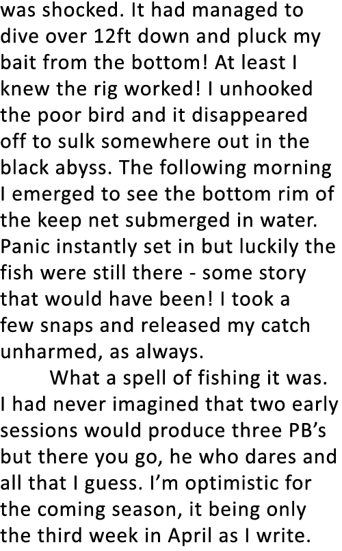 was shocked. It had managed to dive over 12ft down and pluck my bait from the bottom! At least I knew the rig worked!...