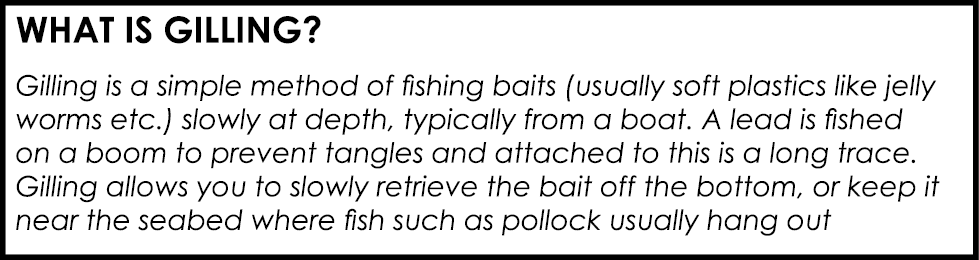 What is gilling? Gilling is a simple method of fishing baits (usually soft plastics like jelly worms etc.) slowly at ...