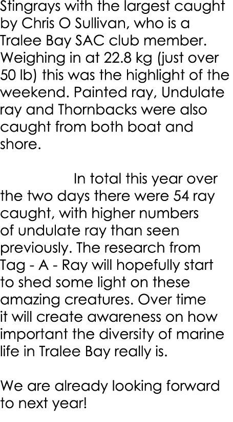 Stingrays with the largest caught by Chris O Sullivan, who is a Tralee Bay SAC club member. Weighing in at 22.8 kg (j...