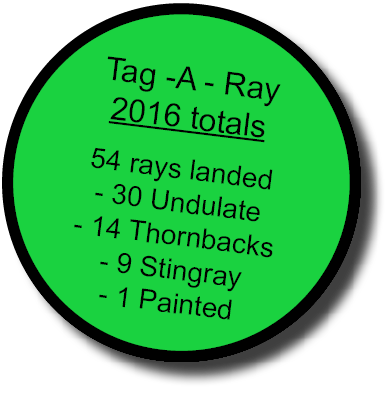  Tag -A - Ray 2016 totals 54 rays landed - 30 Undulate - 14 Thornbacks - 9 Stingray - 1 Painted 