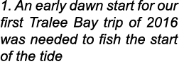 1. An early dawn start for our first Tralee Bay trip of 2016 was needed to fish the start of the tide
