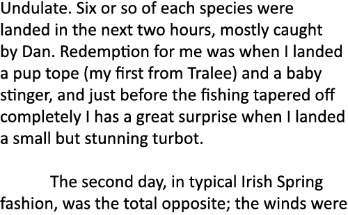 Undulate. Six or so of each species were landed in the next two hours, mostly caught by Dan. Redemption for me was wh...