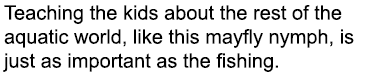 Teaching the kids about the rest of the aquatic world, like this mayfly nymph, is just as important as the fishing.