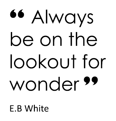 “ Always be on the lookout for wonder ” E.B White