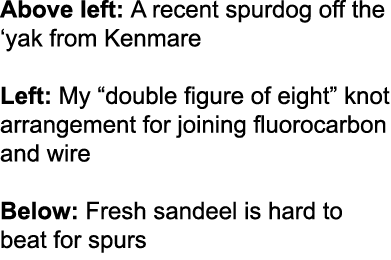 Above left: A recent spurdog off the ‘yak from Kenmare Left: My “double figure of eight” knot arrangement for joining...