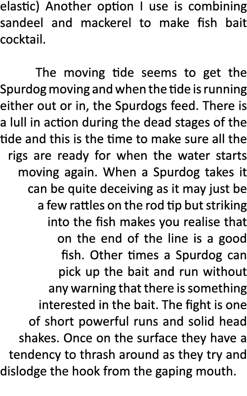 elastic) Another option I use is combining sandeel and mackerel to make fish bait cocktail.  The moving tide seems to...