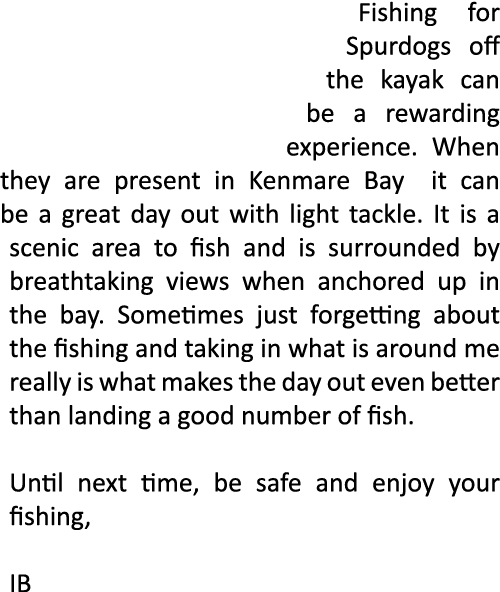 Fishing for Spurdogs off the kayak can be a rewarding experience. When they are present in Kenmare Bay it can be a gr...
