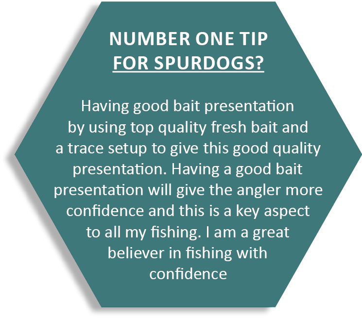 Number one tip for spurdogs? Having good bait presentation by using top quality fresh bait and a trace setup to give ...