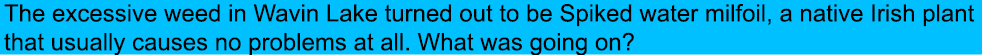 The excessive weed in Wavin Lake turned out to be Spiked water milfoil, a native Irish plant that usually causes no p...