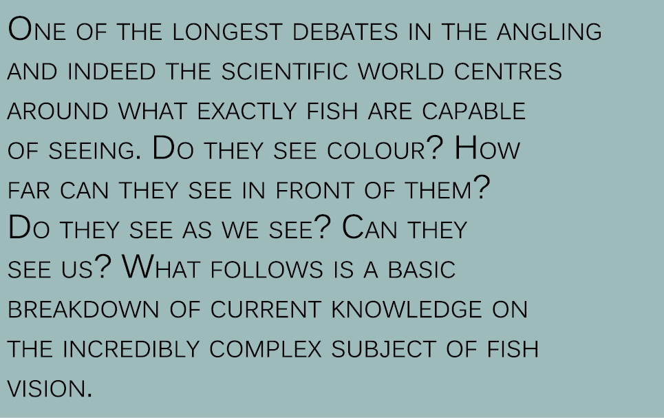 One of the longest debates in the angling and indeed the scientific world centres around what exactly fish are capabl...