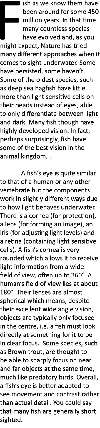 Fish as we know them have been around for some 450 million years. In that time many countless species have evolved an...