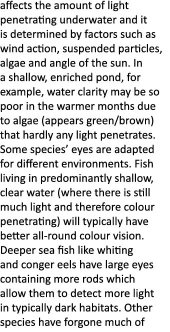 affects the amount of light penetrating underwater and it is determined by factors such as wind action, suspended par...