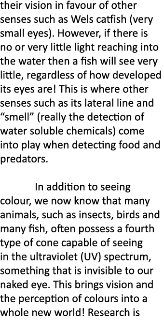 their vision in favour of other senses such as Wels catfish (very small eyes). However, if there is no or very little...