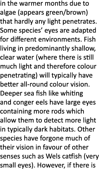 in the warmer months due to algae (appears green/brown) that hardly any light penetrates. Some species’ eyes are adap...