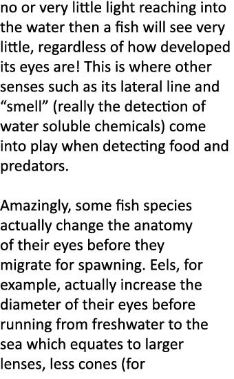 no or very little light reaching into the water then a fish will see very little, regardless of how developed its eye...