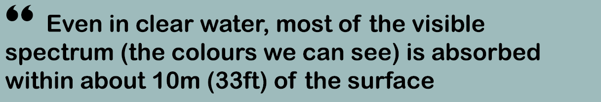 “ Even in clear water, most of the visible spectrum (the colours we can see) is absorbed within about 10m (33ft) of t...