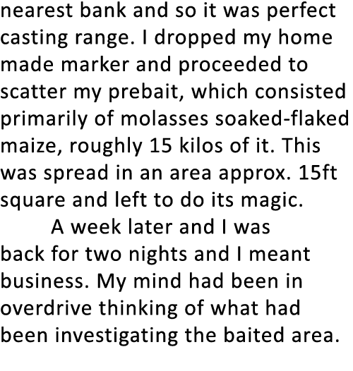 nearest bank and so it was perfect casting range. I dropped my home made marker and proceeded to scatter my prebait, ...