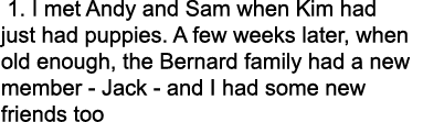  1. I met Andy and Sam when Kim had just had puppies. A few weeks later, when old enough, the Bernard family had a ne...