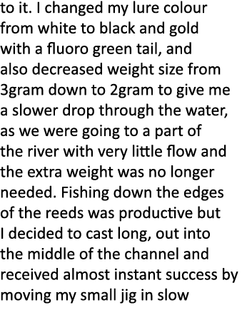 to it. I changed my lure colour from white to black and gold with a fluoro green tail, and also decreased weight size...