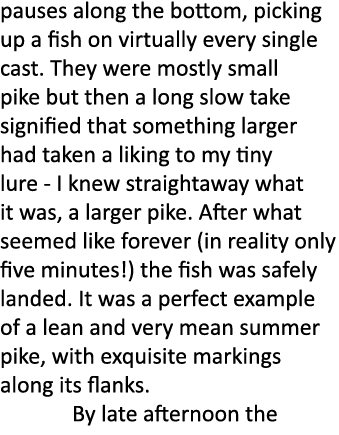 pauses along the bottom, picking up a fish on virtually every single cast. They were mostly small pike but then a lon...