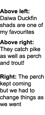 Above left: Daiwa Duckfin shads are one of my favourites Above right: They catch pike as well as perch and trout! Rig...