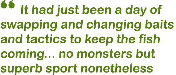 “ It had just been a day of swapping and changing baits and tactics to keep the fish coming... no monsters but superb...