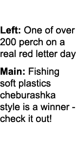 Left: One of over 200 perch on a real red letter day Main: Fishing soft plastics cheburashka style is a winner - chec...