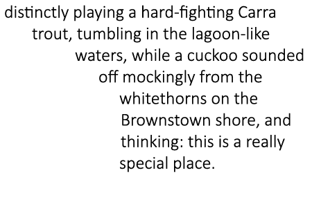 distinctly playing a hard-fighting Carra trout, tumbling in the lagoon-like waters, while a cuckoo sounded off mockin...