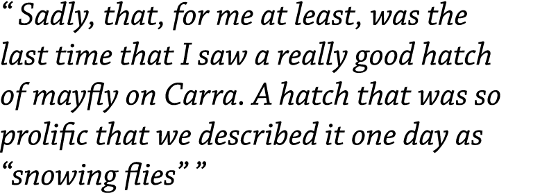 “ Sadly, that, for me at least, was the last time that I saw a really good hatch of mayfly on Carra. A hatch that was...