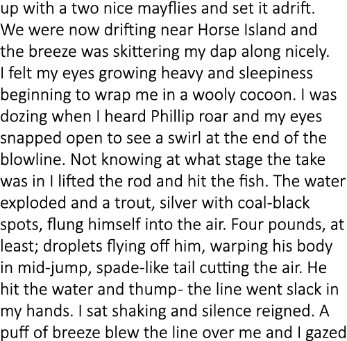 up with a two nice mayflies and set it adrift. We were now drifting near Horse Island and the breeze was skittering m...