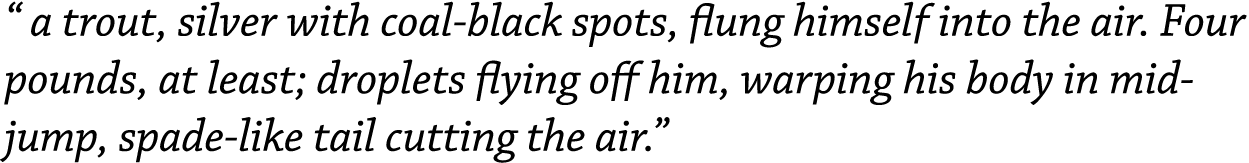 “ a trout, silver with coal-black spots, flung himself into the air. Four pounds, at least; droplets flying off him, ...