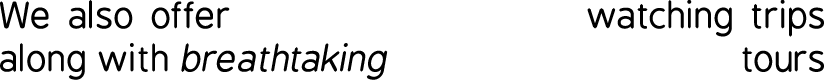 We also offer dolphin & whale watching trips along with breathtaking wildlife & scenery tours