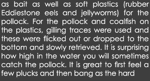 as bait as well as soft plastics (rubber Eddiestone eels and jellyworms) for the pollock. For the pollock and coalfis...